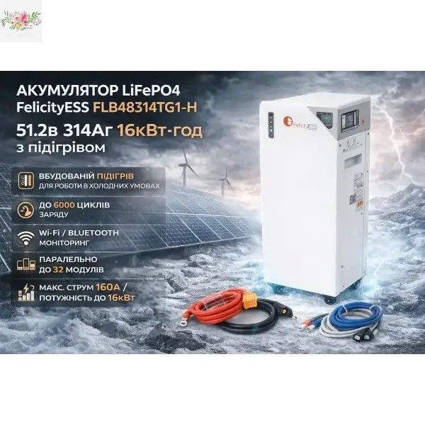 Акумулятор Felicity ESS FLB48314TG1-H LiFePO4 51.2В 314А&middot;г 16 кВт&middot;год з підігрівом для інвертора та ДБЖ BS2015 фото
